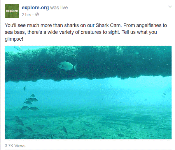 facebook live streaming explore org